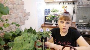Супер Йод для Комнатных Растений. Лучшие рецепты подкормок!