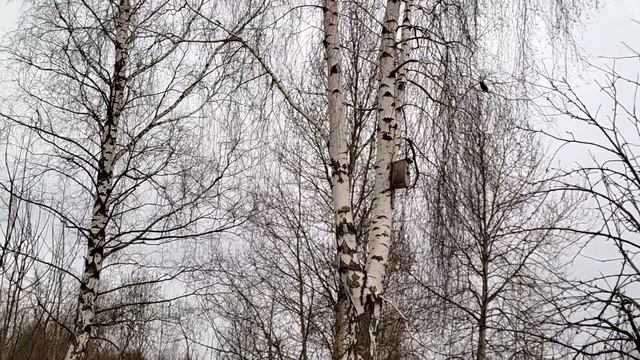 Хроника трех дней жизни. Моему папке 40 дней. Перемены погоды. Пятый месяц зимы! смотреть онлайн