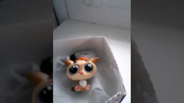 Миша объясняет что мы будем делать на канале!!! смотреть онлайн