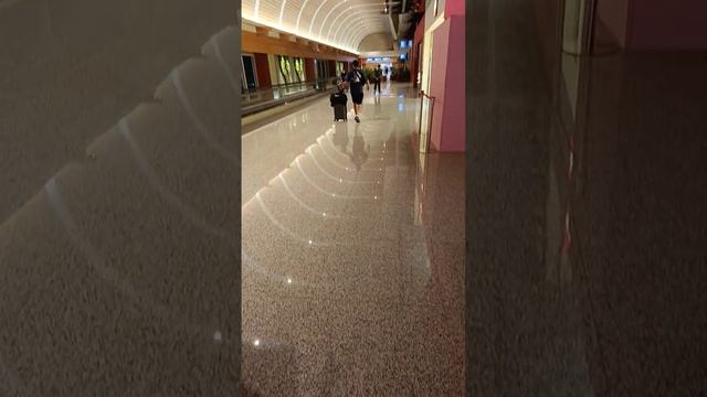Taipei Airport 2022 смотреть онлайн