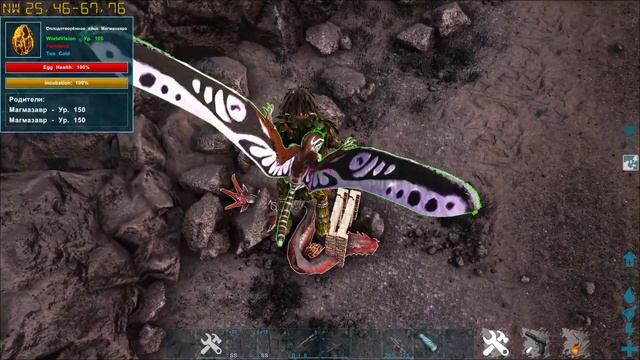 НОВЫЙ СПОСОБ! Как притамить Василиска за 5 минут на карте Lost Island | Ark Survival Evolved | #ГАЙ смотреть онлайн