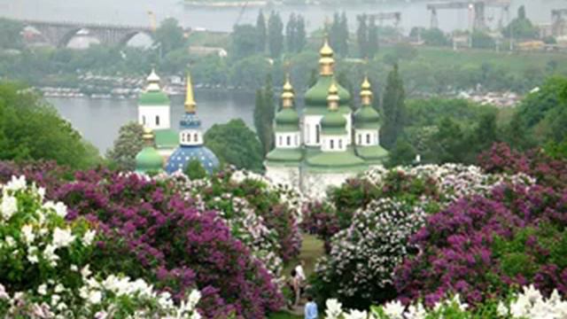 Владимир Каденко - "Сирень" смотреть онлайн