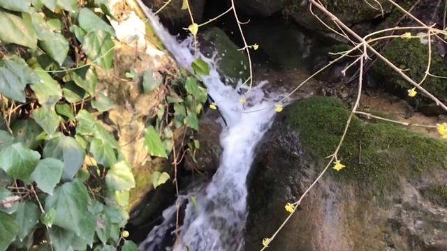 Песнь 1 смотреть онлайн