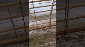 МАЛИНА МАРАВИЛЛА!ПОСТРОЙКА ТЕХНИЧЕСКОЙ ТЕПЛИЦЫ 9.34×46МЕТРОВ(ВЫРАЩИВАНИЕ САЖЕНЦЕВ)