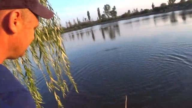 Зарыбленный пруд.Рыбалка Кастинговой сетью. смотреть онлайн