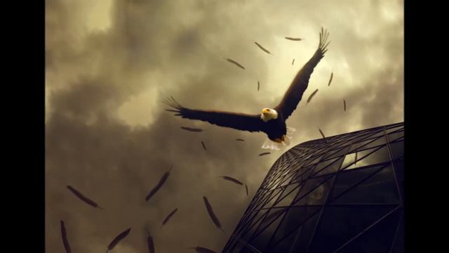 Притча об орле Читает психолог Анастасия Булгакова смотреть онлайн