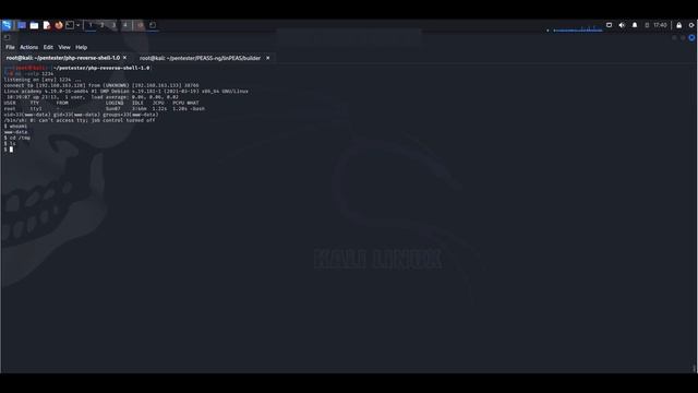 Ethical Hacking ??? ☠️ - How to use LinPEAS - Linux Privilege Escalation - Linpeas tutorial смотреть онлайн