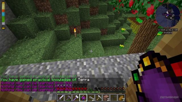 [1.8.9] Cwelth:Wheel Invention - Новая магия - EP6 смотреть онлайн