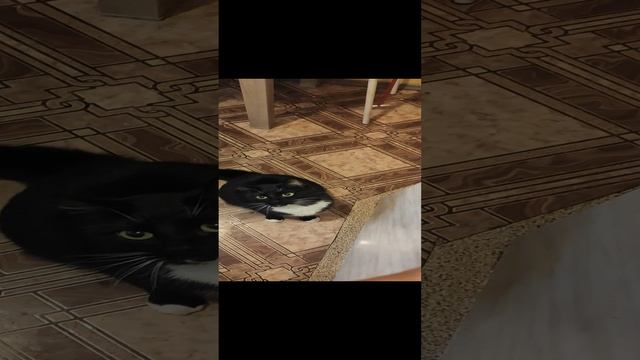 Дай, не дразни меня! смотреть онлайн