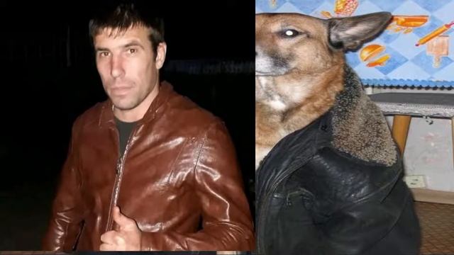 мега гайд для ксюши смотреть онлайн