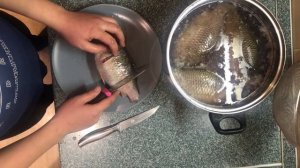 Как чистить карася и удалить желчь