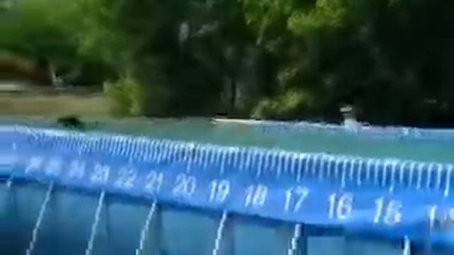 Isabelle's first jump смотреть онлайн