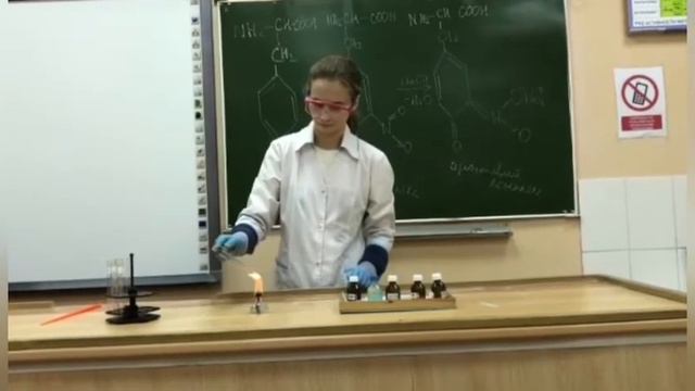 Химия.Эксперимент"Цветные реакции на белки"Байц Анастасия Алексеевна г.Алапаевск МАОУ СОШ 1 10 клас смотреть онлайн
