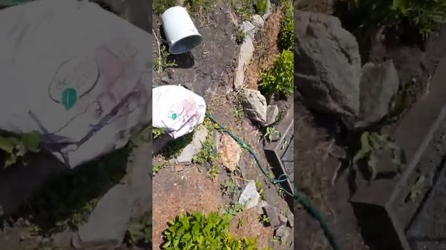 грустное видео ,вирус хост. похолодало +25. смотреть онлайн