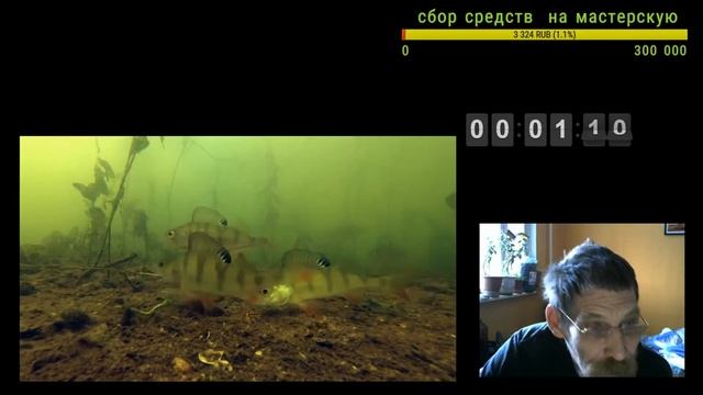 подводная камера окунь в Шатуре смотреть онлайн