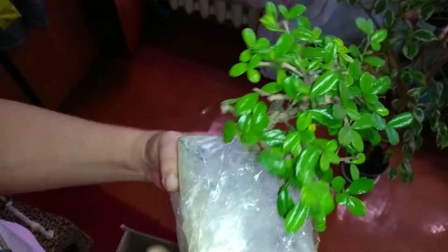 Отзыв Агромаркет смотреть онлайн