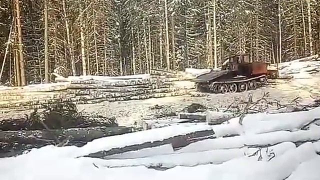 тдт 55. смотреть онлайн