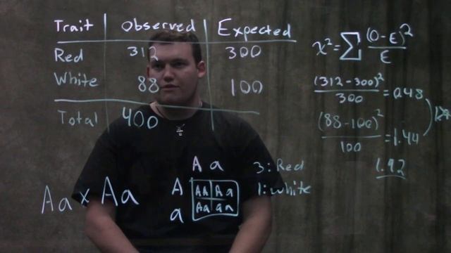Genetics: Chi-squared Test смотреть онлайн