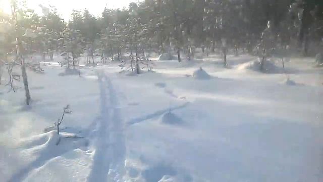 Охота на глухаря с лунок зима 2019