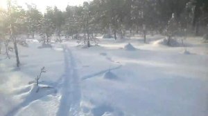 Охота на глухаря с лунок зима 2019