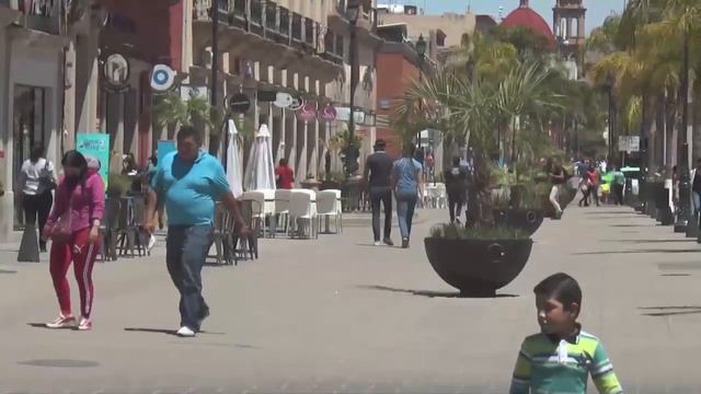 ¿Los enfermos de meningitis en Durango son atendidos adecuadamente? смотреть онлайн