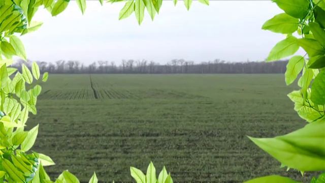 ФУТАЖ ПРИРОДА 00 смотреть онлайн