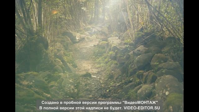 Когда кажется, что весь мир настроен против тебя, помни, что самолёт взлетает против ветра!