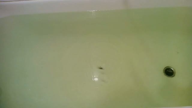 Зимняя блесна для ловли судака "Малек" от компании Yapada. смотреть онлайн