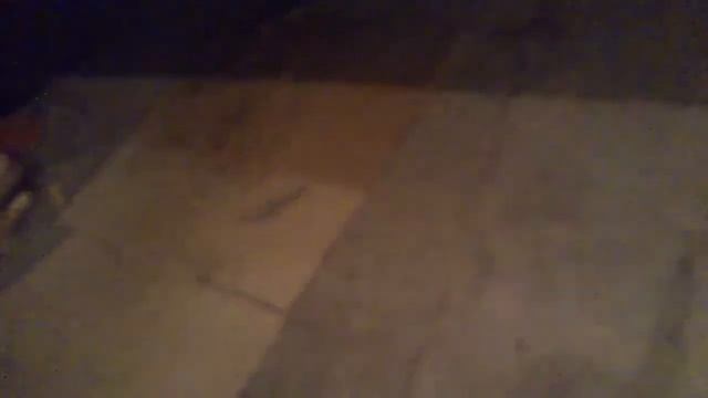 Прямото к на тойоту своими ру смотреть онлайн