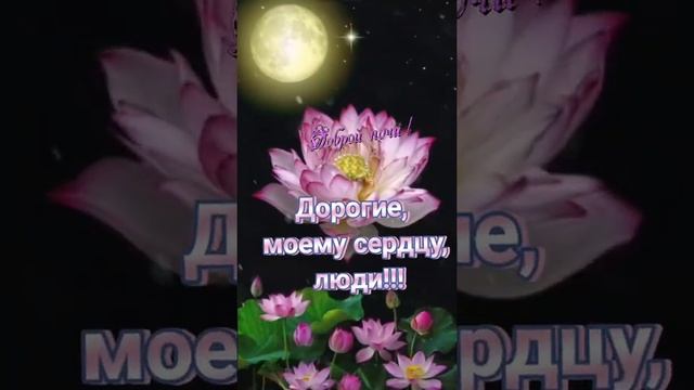 Доброй ночи! Снов приятных!