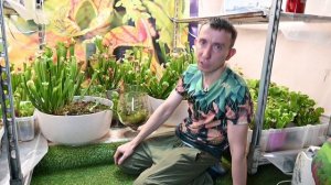 Простые советы по уходу за сарраценией 🌱