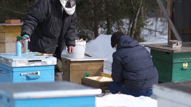 19 марта. Чистка доньев смотреть онлайн
