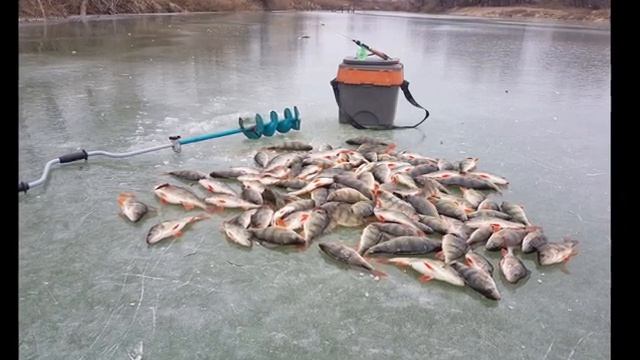 Как ВЫБРАТЬ ПОГОДУ для РЫБАЛКИ зимой? ЛУЧШАЯ погода для рыбалки! Это реально РАБОТАЕТ. смотреть онлайн