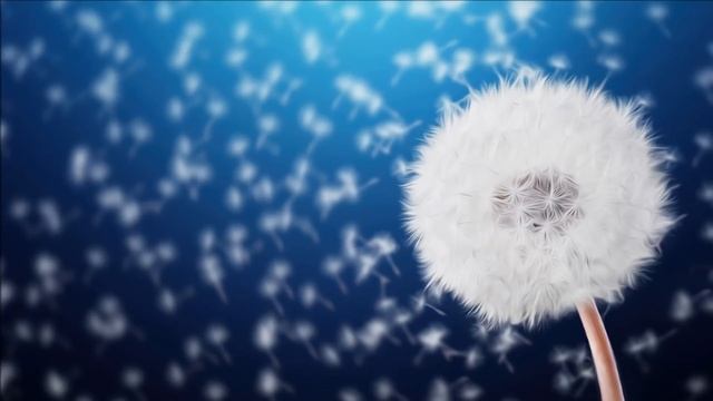 3 ore di musica rilassante per calmare la mente e per superare i momenti difficili смотреть онлайн