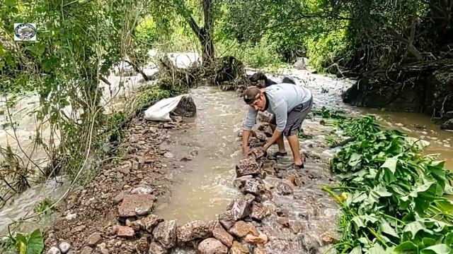 mega pesca en la corriente del rio con trampa de piedra смотреть онлайн