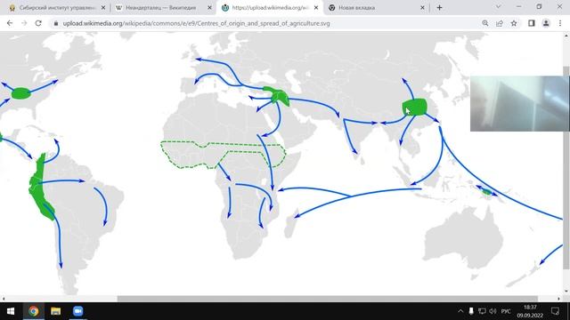 О возникновении человека и неолитической революции смотреть онлайн