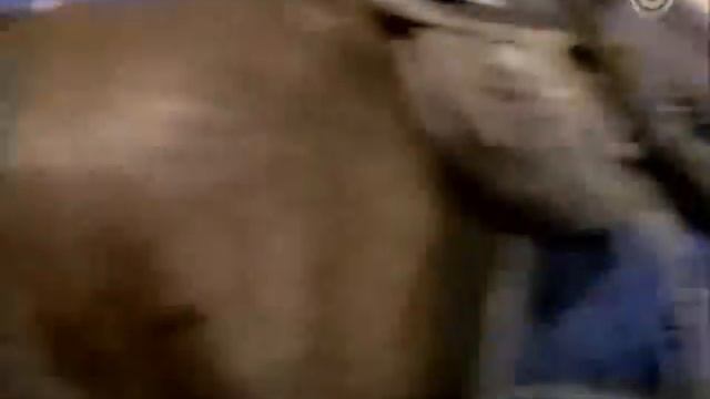 Zeb Macahan: Fighting - Stands up for - Respect - "A Real Man" смотреть онлайн