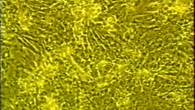 PLANETE MIRACLE I 3 Terre en Vue смотреть онлайн