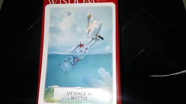 Message in a Bottle #15✨ - Wisdom of the Oracle Guidance Card Message #Wisdom #Message #Bottle смотреть онлайн