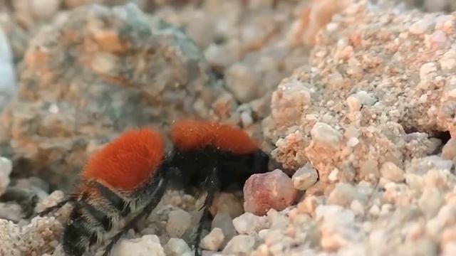 Уроки Живописи Маслом