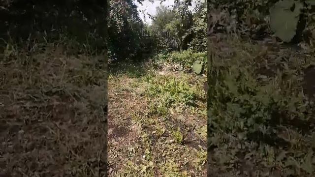 #Вишня. Будем варить варенье и компот смотреть онлайн