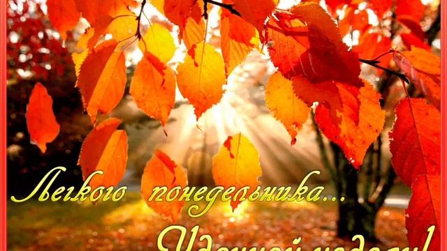 14 ноября 2022 г.