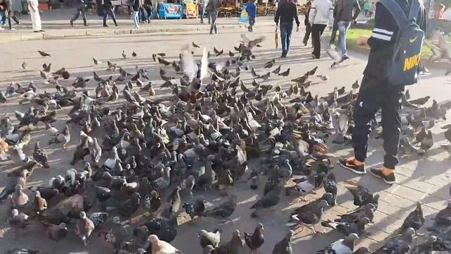 Харьков...ЖД Вокзал 2016 смотреть онлайн