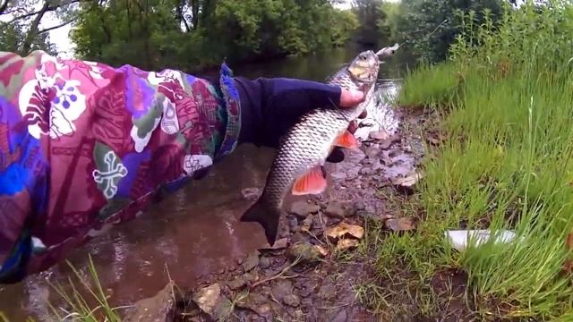 Ловля на Карпа