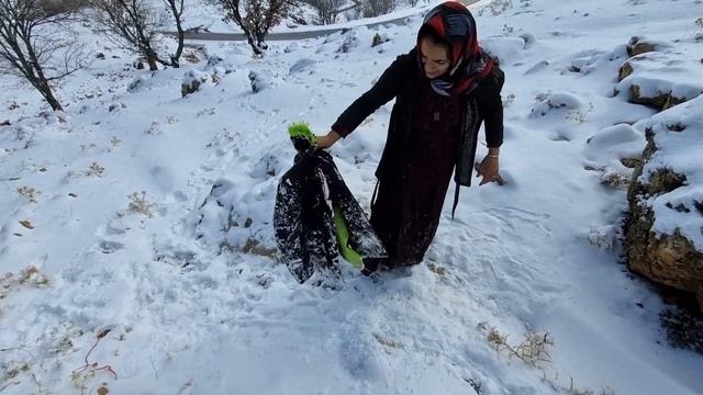 Rescue in the snow: the rescue of a puppy in the mountains by a brave nomadic woman смотреть онлайн