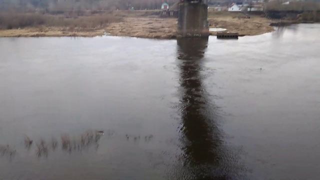 На мосту смотреть онлайн