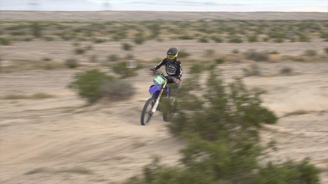 D38 Monster Mash Bike Trailer смотреть онлайн