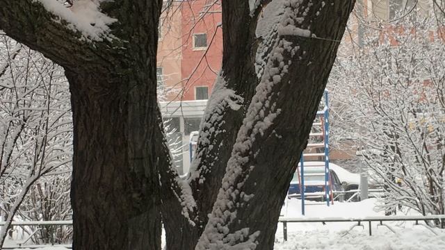 «...снег выпал только в январе.. смотреть онлайн