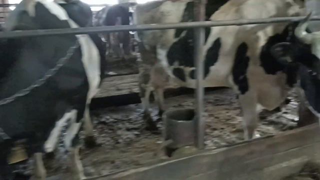 Архивное видео о нашем путешествии в с.Большое Устинское Нижегородская область #июль2023