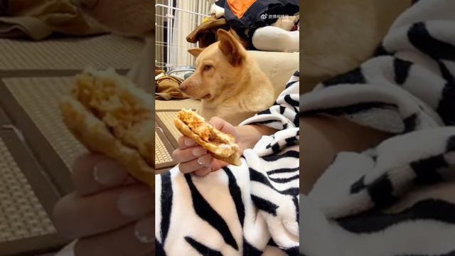 Искушение, как оно есть смотреть онлайн